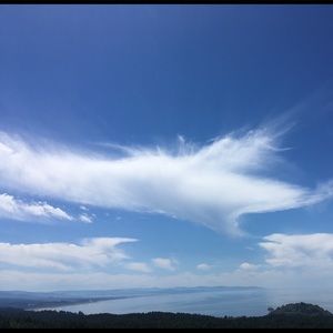 Meet your Posher, Dena